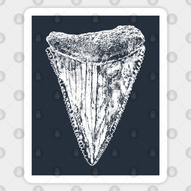 Great White Shark Tooth Magnet by IncognitoMode